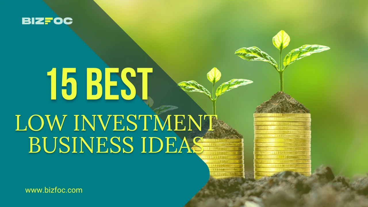 15 Low Investment Business Ideas 